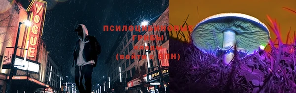 ешки Алексеевка