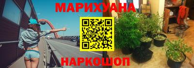 эйфоретик Заводоуковск