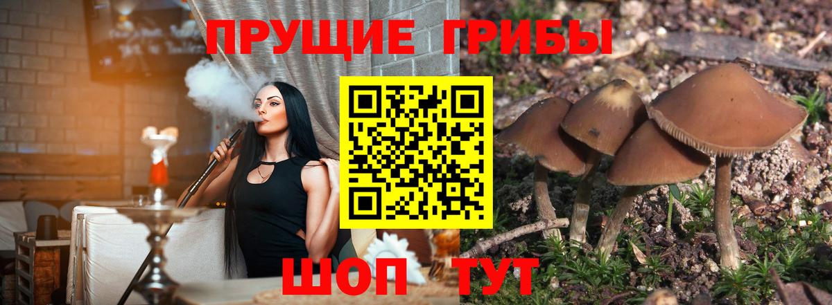 Тихвин  Псилоцибиновые грибы ЛСД  Вход с VPN 