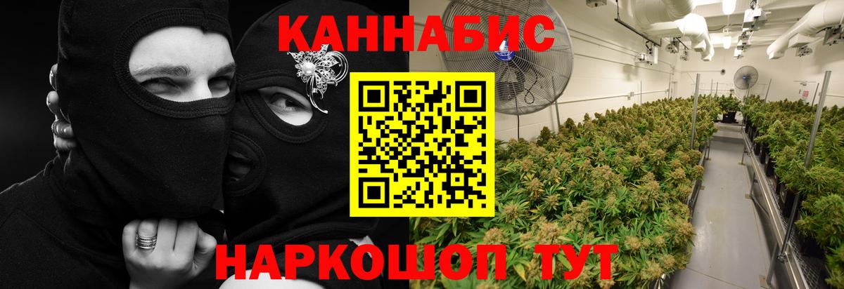 Шишки марихуана SATIVA & INDICA Тихвин